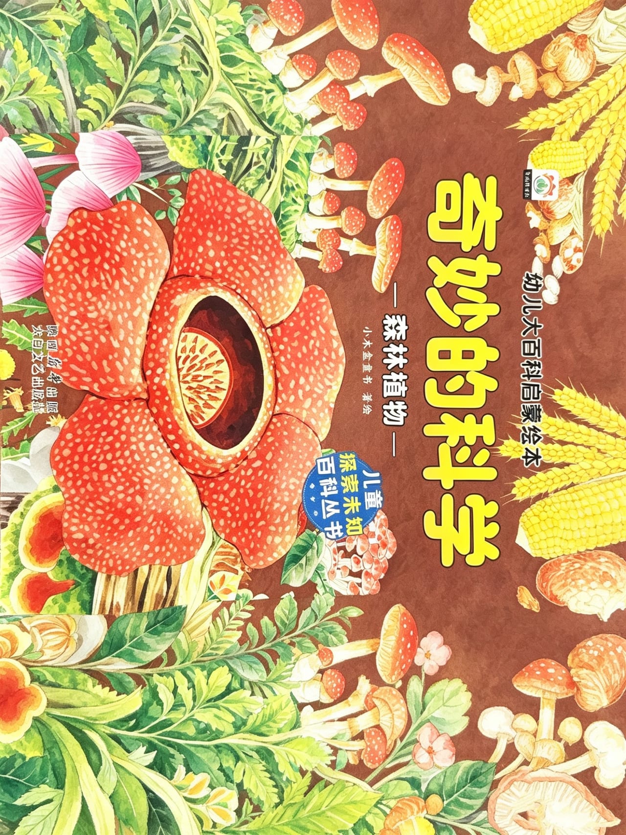 绘本